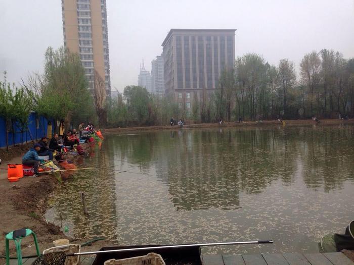 黑坑新玩法：钓标鱼大赛，钓友需谨慎