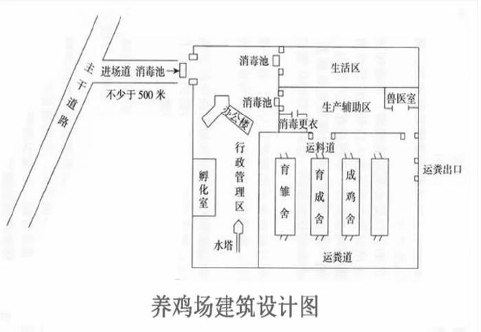 种鸡场规划需要注意哪几个点？