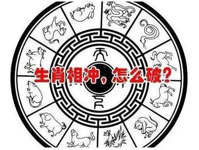 生肖相冲可信吗