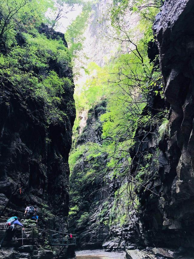 在南太行八里沟和九莲山景区之间藏着一个绝美大峡谷，免门票！