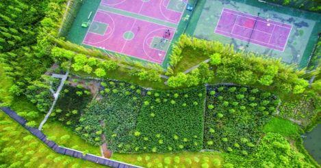 带你看全广州19个湿地公园，吃喝玩乐，周末走起！