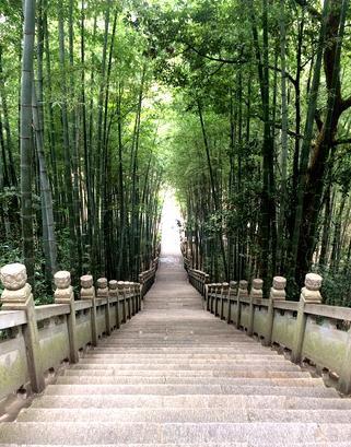 这座寺庙真乃佛门净地！不收门票香火钱，吃住都免费！