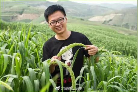 魏延安：七年之痒——我的微博故事与反思
