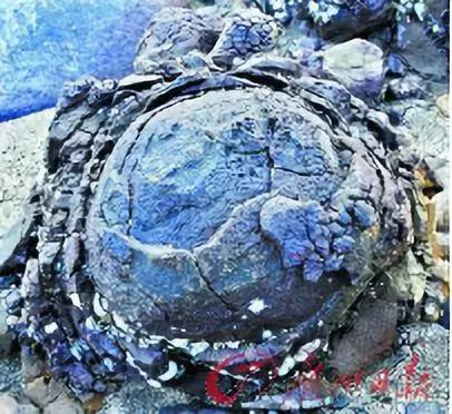 所谓大汉三墩，并非大汉三吨