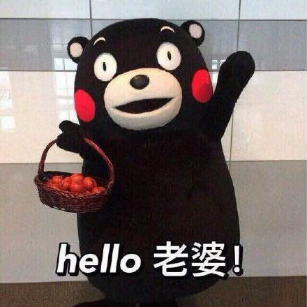 熊本熊表情包：谁在说我帅