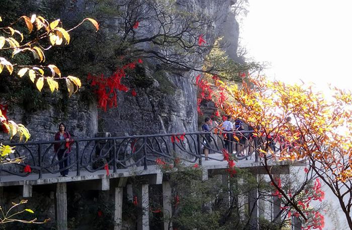 张家界天门山玻璃栈道旅友攻略，游客的真实体验，看看大家怎么说