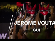 视频-国际马联马车世界杯 荷兰名将力压群雄夺冠