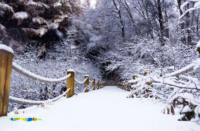 谈球吧体育雪票 ￥266起 翠云山银河滑雪场滑雪票（含雪具）(图1)