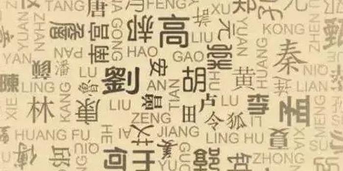 中国汉族人口占多少_...600,000人. 9.周姓-占全中国汉族人口的2.12%=25,400,000人.(2)