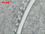 航拍雪中南京紫金山明城墙：宛如一条银色长龙