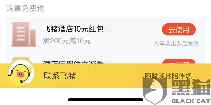 买了一张回家的机票猜成语_买好机票回家过年图片