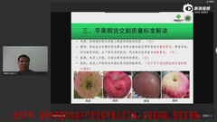 苹果期货交割质量及检验标准解读