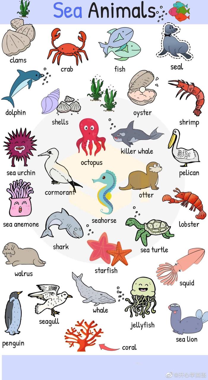 关于动物词汇的图片英语知识，很适合当图片教具！