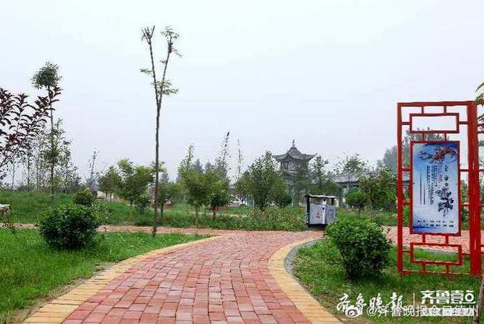 禹城大秦村：唤醒沉睡资源 扮靓贫困村新面貌 齐鲁壹点昨天 15:41