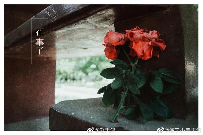 印象派色调的天津（by@潘宁小字不语 ）PS：水上公园的睡莲开了