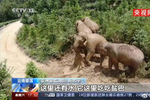 惠游云南,天赐普洱!