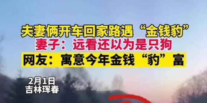 路豹招聘_【百事佳路豹4S中心感恩回馈活动_山东百事佳路豹4S中心店内活动】-汽车之家