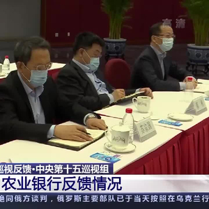 中央第十五巡视组向工商银行和农业银行反馈巡视情况