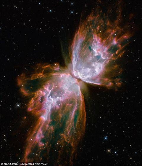 美国宇航局/欧洲航天局的哈勃太空望远镜发现的蝴蝶星云NGC 6302。NGC 6302是一个行星状星云,由濒死恒星产生,距地球大约3800光年 美国宇航局/欧洲航天局的哈勃太空望远镜发现的蝴蝶星云NGC 6302。NGC 6302是一个行星状星云,由濒死恒星产生,距地球大约3800光年