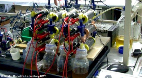 一组尿液型微生物燃料电池。这种电池能够为三星手机充电 一组尿液型微生物燃料电池。这种电池能够为三星手机充电