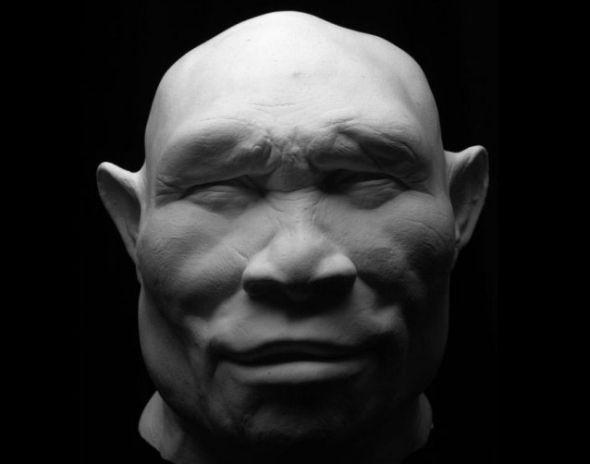 直立人(Homo erectus)生活在100万年前。一种理论认为,直立人起源于非洲,后迁移到印度、中国和爪哇。另一种理论认为,他们起源于亚洲,后迁移到非洲 直立人(Homo erectus)生活在100万年前。一种理论认为,直立人起源于非洲,后迁移到印度、中国和爪哇。另一种理论认为,他们起源于亚洲,后迁移到非洲