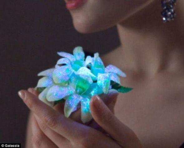 一名女子手拿荧光花,它无疑会受到那些希望婚礼与众不同的新娘的青睐 一名女子手拿荧光花,它无疑会受到那些希望婚礼与众不同的新娘的青睐把这种配方喷洒在花朵和植物上,然后把它们放置在特殊光源旁边,让它们发出荧光