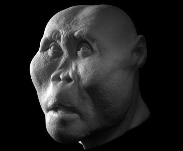 鲍氏傍人(Paranthropus boisei)生活在200万年前,他的颅骨特别善于咀嚼。这种人类又被称作“胡桃夹子人”,这是因为他们拥有比目前已知的任何古人类个头更大的后牙和目前已知最厚的牙釉质 鲍氏傍人(Paranthropus boisei)生活在200万年前,他的颅骨特别善于咀嚼。这种人类又被称作“胡桃夹子人”,这是因为他们拥有比目前已知的任何古人类个头更大的后牙和目前已知最厚的牙釉质