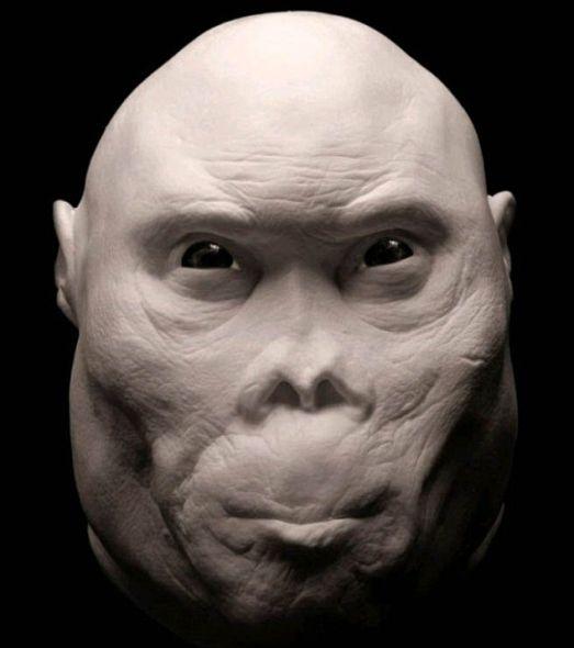 卢多尔夫人(Homo rudolfensis)生活在大约200万年前。这种人的化石是在肯尼亚发现的,目前还不完全清楚这种人类祖先属于人类进化的哪个阶段 卢多尔夫人(Homo rudolfensis)生活在大约200万年前。这种人的化石是在肯尼亚发现的,目前还不完全清楚这种人类祖先属于人类进化的哪个阶段