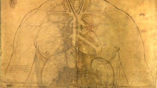 英国白金汉宫的女王画廊将举办达芬奇人体解剖素描图展,这一幅便是其中之一 英国白金汉宫的女王画廊将举办达芬奇人体解剖素描图展,这一幅便是其中之一