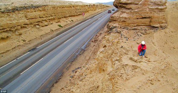 这些化石是在2010年公路扩宽工程期间发现的。当地人早就看到从地面伸出的骨骼,但是他们并未想太多 这些化石是在2010年公路扩宽工程期间发现的。当地人早就看到从地面伸出的骨骼,但是他们并未想太多