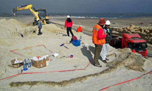 研究人员认为,这座山上可能还有数百具化石。为了公路扩宽工作能够继续下去,他们被邀请来迁移这些化石 研究人员认为,这座山上可能还有数百具化石。为了公路扩宽工作能够继续下去,他们被邀请来迁移这些化石