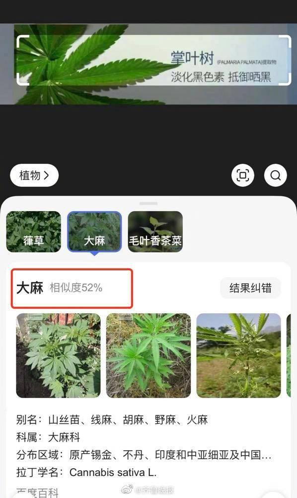 美肤宝使用疑似大麻图片做宣传？客服回应