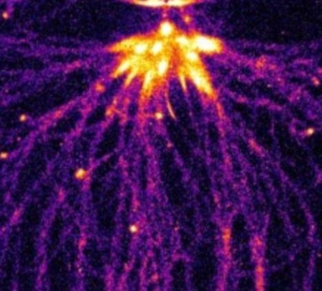 这束精灵闪光是科学家模拟出木星环境后,在瓶子里形成的 这束精灵闪光是科学家模拟出木星环境后,在瓶子里形成的