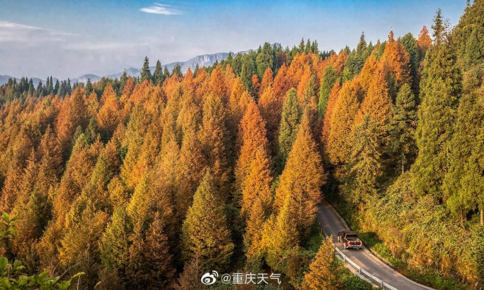 山是什么颜色呢 w700d1q75cms.jpg?by=cms_fixed_width