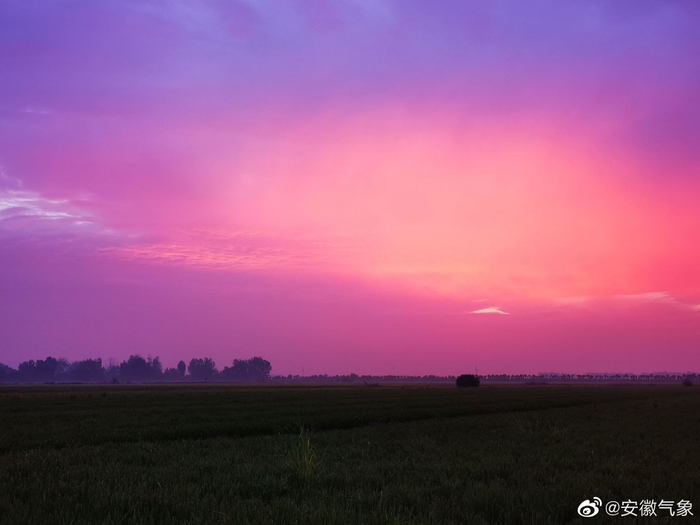 w700d1q75cms.jpg?by=cms_fixed_width