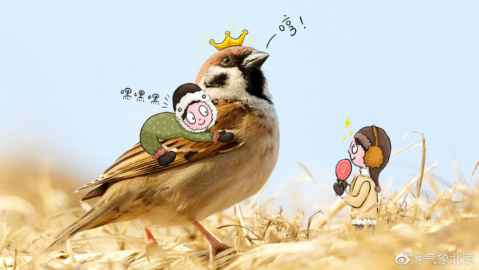 什么时候转北风 w700d1q75cms.jpg?by=cms_fixed_width