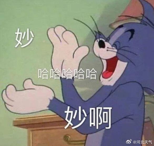 沙雕抑郁的文案,沙雕又抑郁的文案