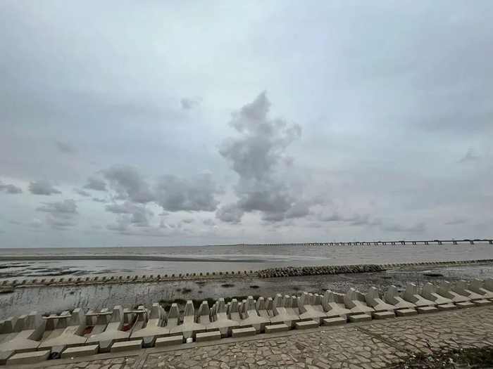 消浪坝外的野海滩 来源:澎湃新闻
