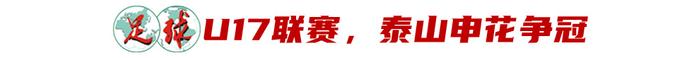 2023年度最后的冠军 属于山东泰山还是上海申花？