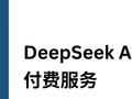 DeepSeek API 付费服务