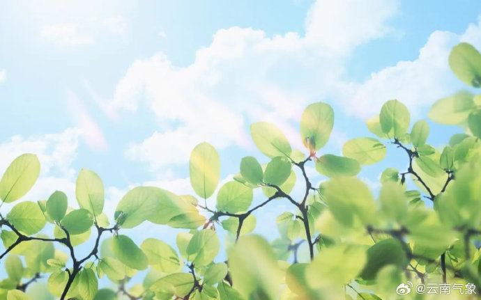 w700d1q75cms.jpg?by=cms_fixed_width