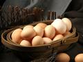 【鸡蛋半年报】逐渐进入旺季 蛋价有上涨预期