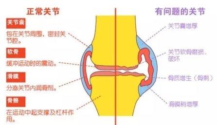 w700d1q75cms.jpg?by=cms_fixed_width