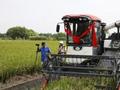 上海建成1.43万亩无人农场，代表建言农业科技创新