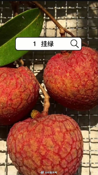 w700d1q75cms.jpg?by=cms_fixed_width