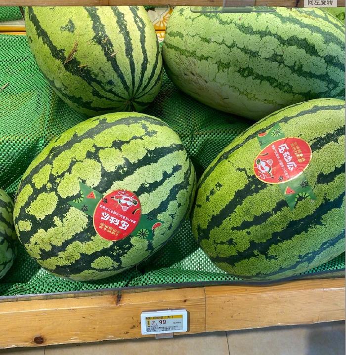 九龙坡区一水果店,宁夏瓜标价2.99元/斤。上游新闻记者 冯盛雍 摄