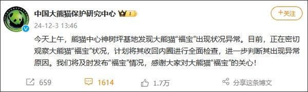 中国大熊猫保护研究中心:“福宝”初步检查无异常,精神及食欲正常