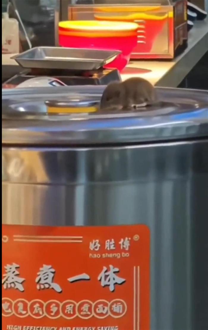 柳州一高校食堂有老鼠爬上煮面桶?校方发布情况说明