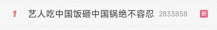 女演员被曝“辱华录音”,新剧除名,镜头被删!吃中国饭,砸中国锅,绝不容忍!!!