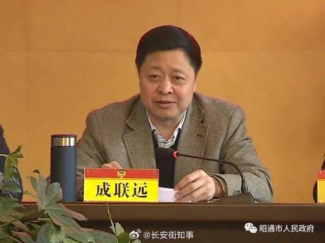 正厅级成联远，主动投案